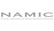 namic